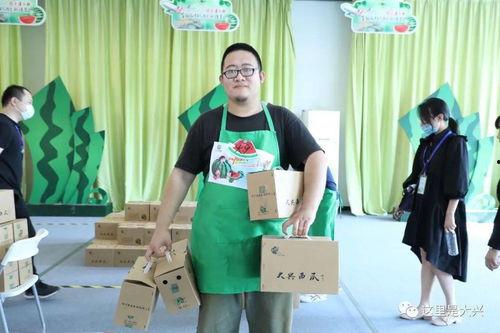 大兴吃瓜视频大赛,年度热门视频大赛精彩回顾