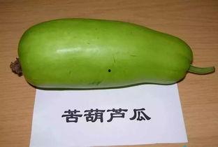 老板吃葫芦瓜视频,趣味横生瞬间引网友热议