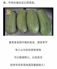 傻白瓜怎么吃才好吃视频