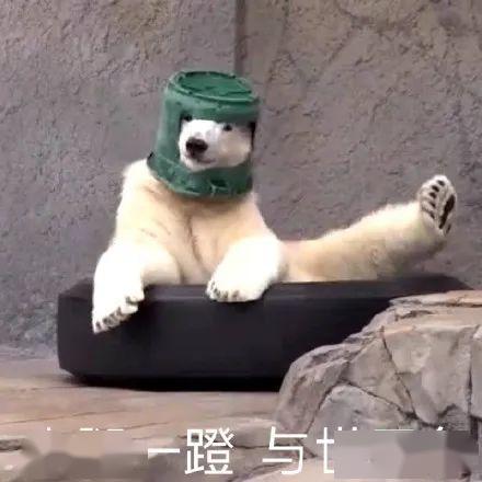 沙雕吃瓜吐槽视频合集在线观看,带你领略网络幽默风潮