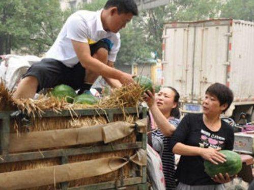 桑植县吃瓜事件视频,一场引发热议的网络视频风波