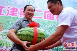 吃瓜4分钟视频,揭秘热门事件背后的真相